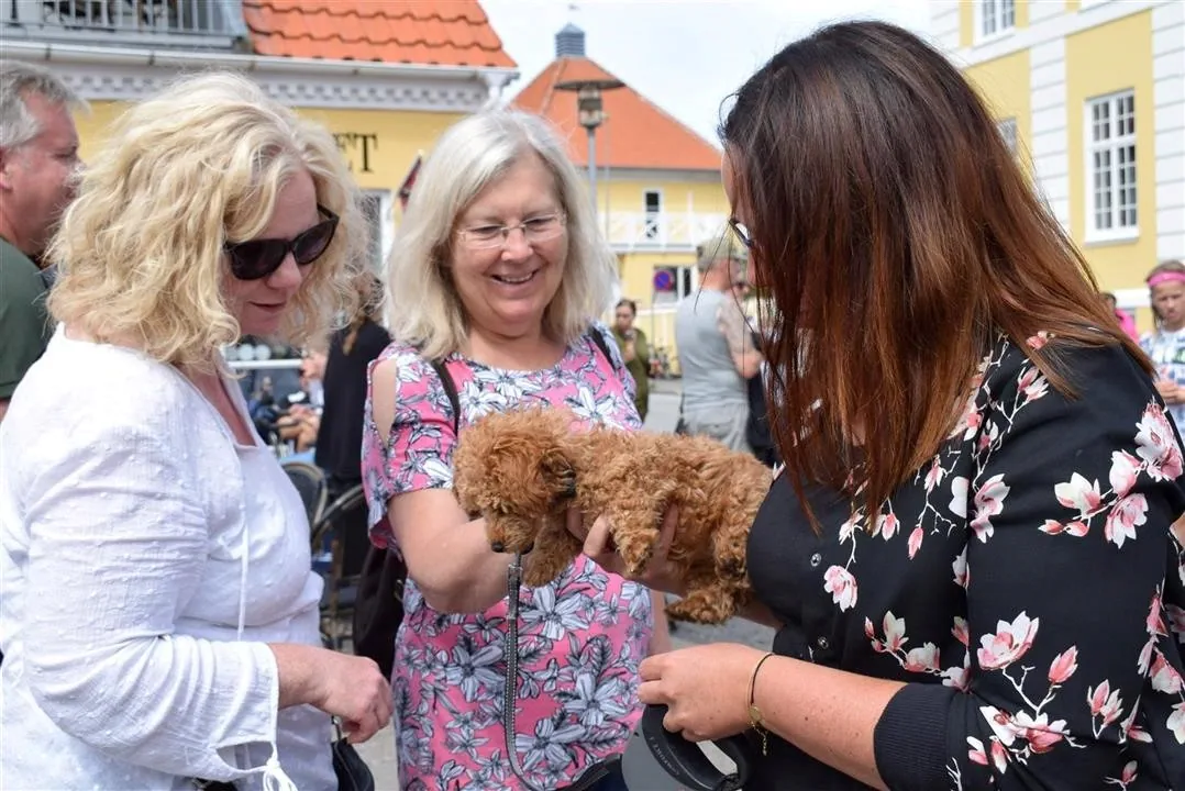Assens and the North of Denmark 2017